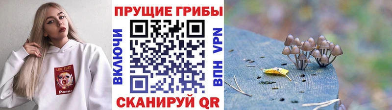 Купить закладки  Красково  Галлюциногенные грибы мицелий 