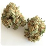 Шишки "White Widow"  (Белая вдова)  Гидропоника -  Бошка VHQ в Красково