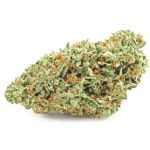 Шишки OG Kush  (Гидропоника, бошки) VHQ в Красково